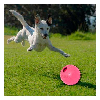 PELOTA CAUCHO PERROS MA31159 JUGUETE MASCOTAS ROSADO + GIFT MINIAGENDA RYBIU