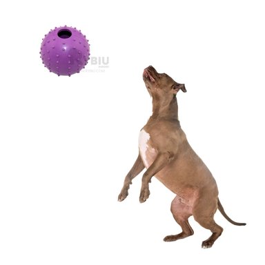 PELOTA CAUCHO PERROS MA31157 MORADO + REGALO STICKERS RYBIU
