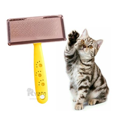 CEPILLO RYBIU MA31221 MODERNO AMARILLO EN TALLA L + GIFT STICKERS