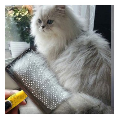 CEPILLO RYBIU MA31221 GATOS EN AMARILLO TALLA L + REGALO STICKERS