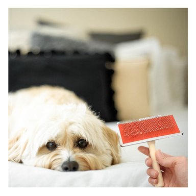 PEINETA RYBIU MA31218 VERSATIL PET ROJO TALLA S + POST-IT ADHESIVOS - 2