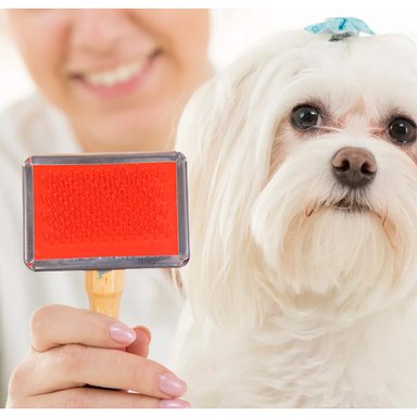 CEPILLO RYBIU MA31218 MASCOTA PRACTICO ROJO TALLA S + REGALO STICKERS