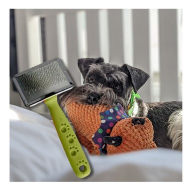 PEINE RYBIU MA31228 ANIMALES VERDE EN TALLA S + POST-IT ADHESIVOS - 3
