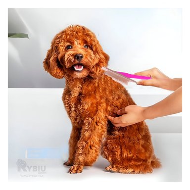 PEINE RYBIU MA31229 FACIL USO EN FUCSIA EN S + REGALO LIGAS PEINAR