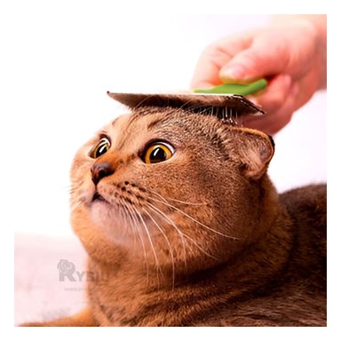 PEINE RYBIU MA31231 MULTIUSOS EN VERDE TALLA XL + REGALO LIGAS PEINAR