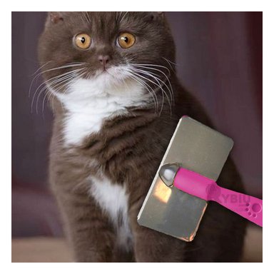 CEPILLO RYBIU MA31223 FACIL USAR EN FUCSIA TALLA L + GIFT MINIAGENDA