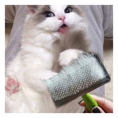 CEPILLO RYBIU MA31222 GATOS PRACTICO VERDE TALLA L + REGALO STICKERS