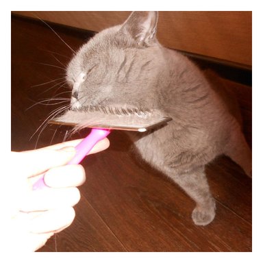 CEPILLO RYBIU MA31226 TRANSPORTABLE EN FUCSIA TALLA M + STICKERS