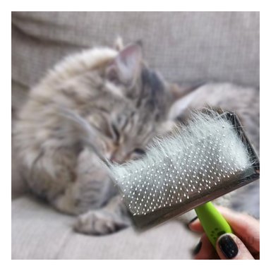 PEINETA RYBIU MA31222 MULTIUSOS METAL VERDE EN L + LIGAS REGALO