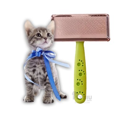 CEPILLO RYBIU MA31222 MODERNO FUNCIONAL EN VERDE TALLA L + GIFT STICKERS