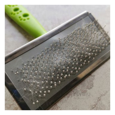 PEINETA RYBIU MA31225 LIVIANO Y COMODO EN VERDE TALLA M + PAPEL REGALO