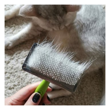 CEPILLO RYBIU MA31225 TRANSPORTABLE VERDE TALLA M + STICKERS