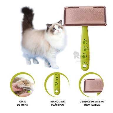 PEINETA RYBIU MA31222 DIDACTICA EN VERDE TALLA L + BANDERITAS ADHESIVAS