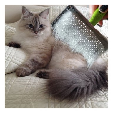 CEPILLO RYBIU MA31222 ERGONOMICO VERDE TALLA L + GIFT MINIAGENDA