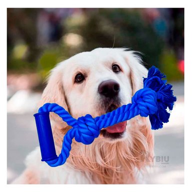 SOGA ALGODÓN PERROS MA29075 CONTROL AZUL + PAPEL REGALO RYBIU