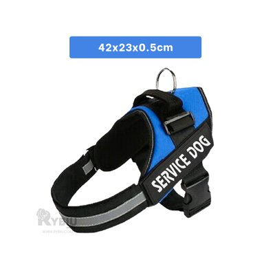 PECHERA PERROS MA30978 RYBIU CANINA AZUL + REGALO LIGAS PEINAR