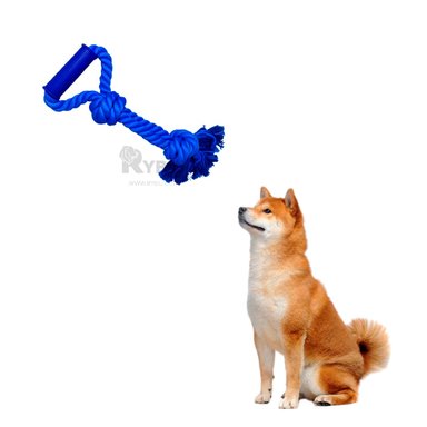 SOGA ALGODÓN PERROS MA29075 CORDON RESISTENTE EN AZUL + LIGAS REGALO RYBIU