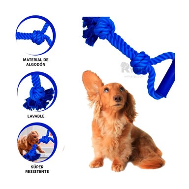 CUERDA ALGODÓN PERROS MA29075 RESISTENTE CANINOS AZUL + AGENDITA RYBIU