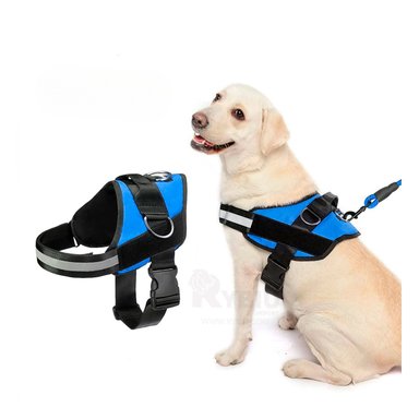 CORREA PERROS MA30978 RYBIU DISEÑO ERGONOMICO TALLA XL AZUL + REGALO AGENDITA