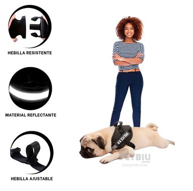 PECHERA PERROS MA30980 RYBIU CANINA TALLA XL EN NEGRO + BANDERITAS ADHESIVAS