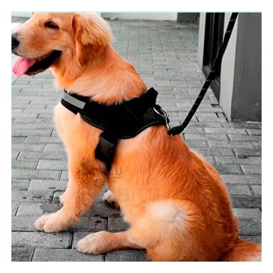 CORREA PERROS MA30980 RYBIU RESISTENTE TALLA XL NEGRO + GIFT MINIAGENDA