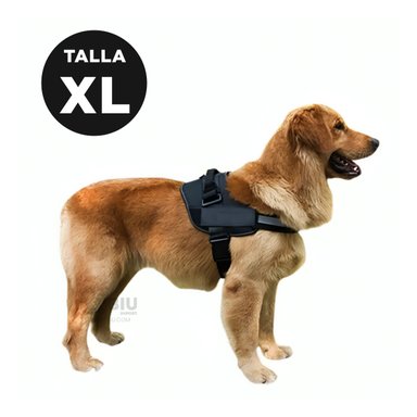 PECHERA PERROS MA30980 RYBIU CANINA NEGRO + REGALO LIGAS PEINAR