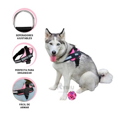 PECHERA PERROS MA30981 RYBIU CANINA TALLA XL EN ROSADO + BANDERITAS ADHESIVAS