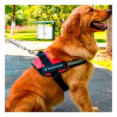 CORREA PERROS MA30983 RYBIU PRACTICA ROJO XL + GIFT STICKERS