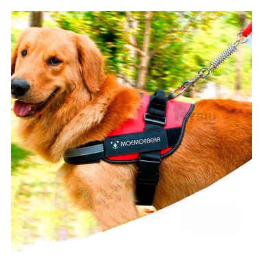 CORREA PERROS MA30983 RYBIU EXOTICA ROJO XL + ENVOLTORIO REGALO