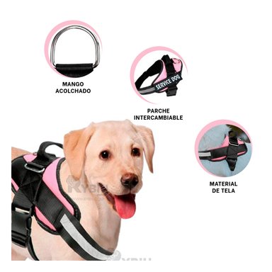CORREA PERROS MA30981 RYBIU FACIL RETIRAR TALLA XL EN ROSADO + GIFT STICKERS