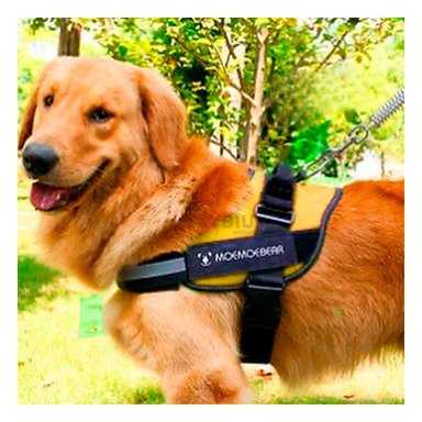 CORREA PERROS MA30984 RYBIU EXOTICA AMARILLO XXL + ENVOLTORIO REGALO