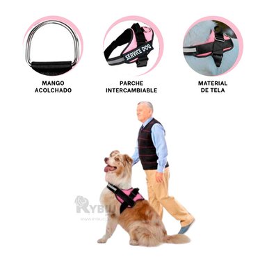 PECHERA PERROS MA30981 RYBIU TALLA XL EN ROSADO + POST-IT ADHESIVOS