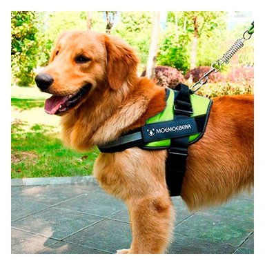 CORREA PERROS MA30982 RYBIU RESISTENTE VERDE XL + GIFT MINIAGENDA