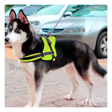 CORREA PERROS MA30982 RYBIU PRACTICA VERDE XL + GIFT STICKERS