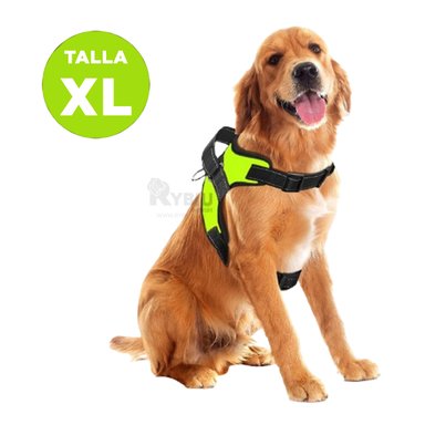 ARNÉS PERROS MA30982 RYBIU APTO EN VERDE XL + LIGAS REGALO