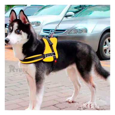 CORREA PERROS MA30984 RYBIU PRACTICA AMARILLO XXL + GIFT STICKERS