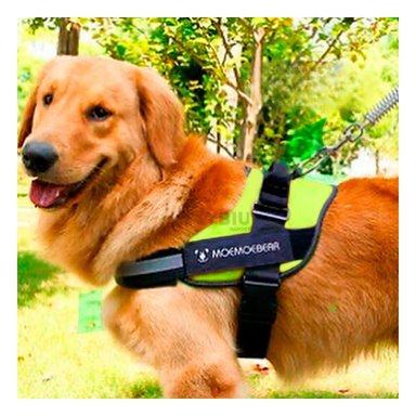 CORREA PERROS MA30982 RYBIU EXOTICA VERDE XL + ENVOLTORIO REGALO