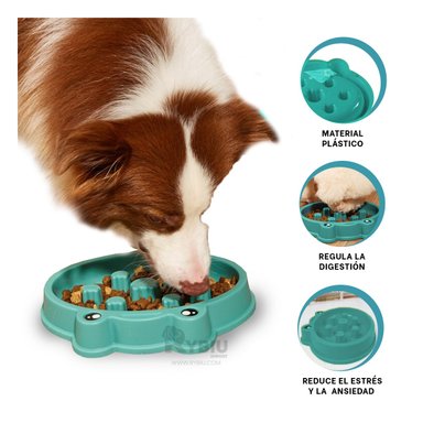 COMEDERO PERRO RYBIU FACIL LIMPIAR VERDE + REGALO AGENDITA