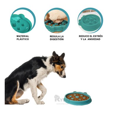 COMEDERO PERRO RYBIU DISEÑO MODERNO VERDE + ENVOLTORIO REGALO