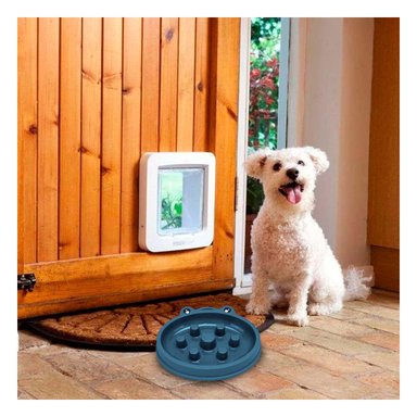 PLATILLO PERRO RYBIU COMPACTO Y EFICAZ MATIZ AZUL + BANDERITAS ADHESIVAS