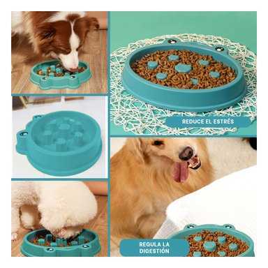 PLATILLO PERRO RYBIU MULTIFUNCIONAL VERDE + REGALO LIGAS PEINAR