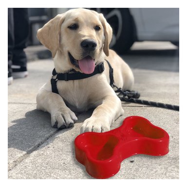 COMEDERO PERRO Y GATO MA31297 RYBIU CON FORMA HUESO DOBLE ROJO + REGALO STICKERS