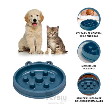 PLATO MASCOTAS PERRO RYBIU DIVERTIDO AZUL + PAPEL REGALO