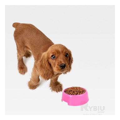 COMEDERO PERROS MA31322 RYBIU UTIL M ROSADO + ENVOLTORIO REGALO