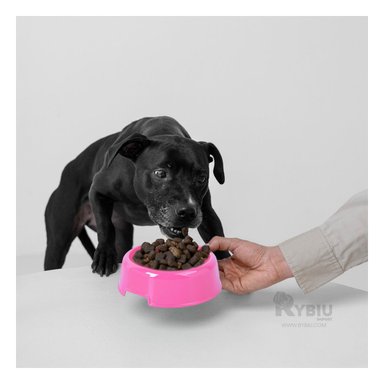 PLATO COMIDA GATO MA31322 RYBIU M ROSADO + PAPEL REGALO