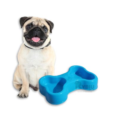 PLATO PERRO Y GATO MA31296 RYBIU DURADERO DOBLE CELESTE + PAPEL REGALO