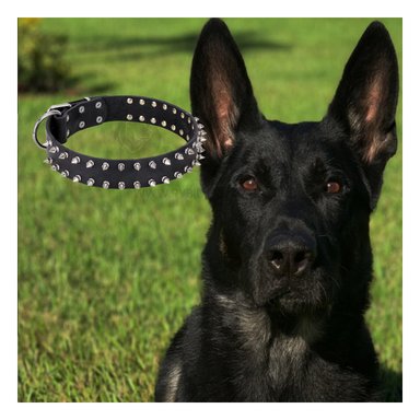 COLLARÍN PERROS MA31059 RYBIU NEGRO TALLA XL + ENVOLTORIO REGALO