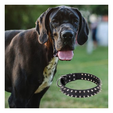 COLLAR PERROS MA31059 RYBIU REGULABLE CON PUAS NEGRO TALLA XL + PAPEL REGALO