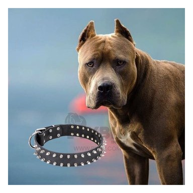 COLLAR PERROS MA31058 RYBIU REGULABLE CON PUAS NEGRO TALLA L + PAPEL REGALO