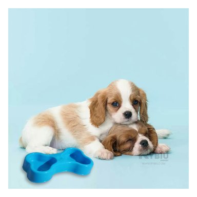 COMEDERO PERRO Y GATO MA31296 RYBIU MASCOTAS DOBLE CELESTE + GIFT STICKERS